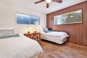 Quail IN Moonlight #2399