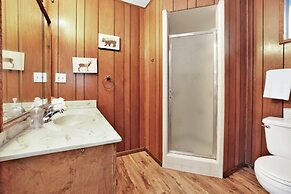 Quail IN Moonlight #2399