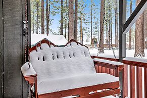 Midnight Pines #2424