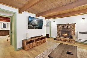 Midnight Pines #2424