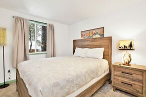 Midnight Pines #2424