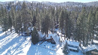BIG Bear DEN #2152
