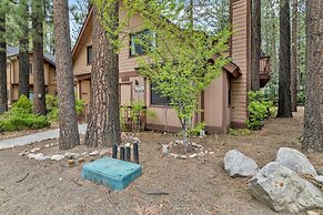 THE TED E. Bear Lair AT Summit #2179