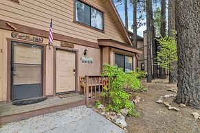 THE TED E. Bear Lair AT Summit #2179