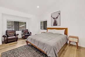 Summit Vellucci #744