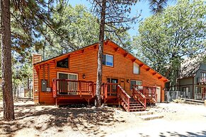 Mountain Adventure #1931