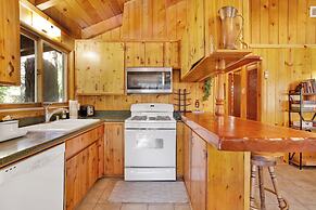 Sunny Bear Cabin #1970