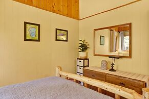 Sunny Bear Cabin #1970