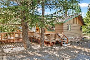 Sunny Bear Cabin #1970