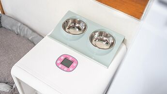 Seonjaedo Gaekkul House pet Pension