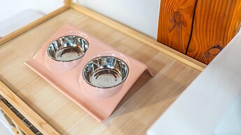 Seonjaedo Gaekkul House pet Pension