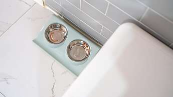 Seonjaedo Gaekkul House pet Pension