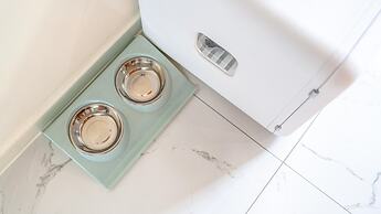 Seonjaedo Gaekkul House pet Pension