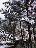 FLORET RESORT LACHUNG