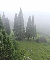 FLORET RESORT LACHUNG