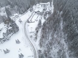Hotel Winterberg Resort