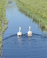 Inviting 2-bed Holiday Home Located in Whitstable