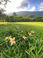 Segredo da Serra Guest House