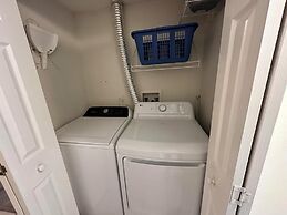 Island Princess #709