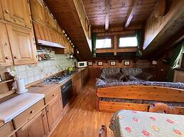 Chalet Stravedo in Borca di Cadore