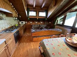 Chalet Stravedo in Borca di Cadore