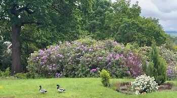 Wellwood Manor Guest House