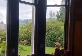 Wellwood Manor Guest House