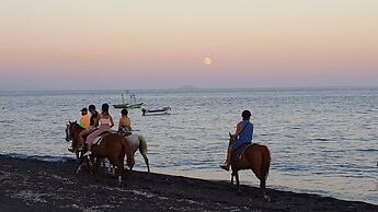 Pleasure Apartments 2 Bedrooms Near The Sea