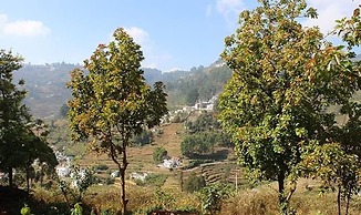 Fabexpress Fruit Garden Residency