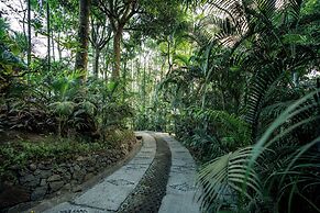 The Hive Wayanad By Kondody Hotels