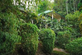 The Hive Wayanad By Kondody Hotels