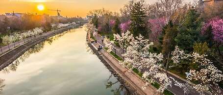 Boheme Proprety in the Heart of Timisoara