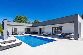 Pool House Fancy