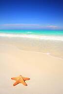 1298 Laurel Grove 3 Bedroom Home by RedAwning