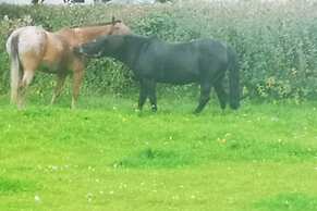 2 Bedroom House Near Athy