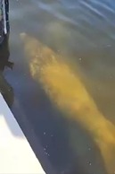 Luxury Long Waterview w Pool-kayaks-clubs-bikes