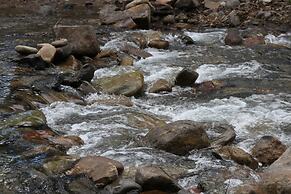 NEW 3bed 2bath With Creek and Open Spaces