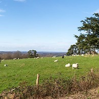 Large Country House in Ashdown Forest