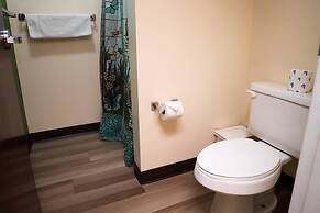 Downtown Apt Walk to all Stadiums Conv Center