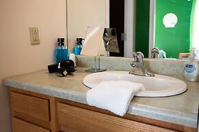 Downtown Apt Walk to all Stadiums Conv Center