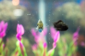 2 Bedroom Downtown Apt Clean and Safe