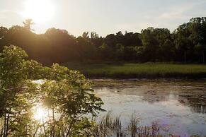 Welcome to Black River - Nature Lovers Paradise