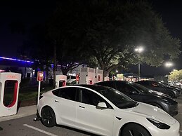 Lake Buena Vista Suite 2 Queens