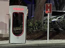 Lake Buena Vista Suite 2 Queens