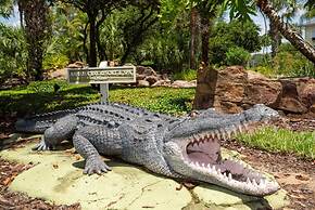 Star Wars Disney Like Resort