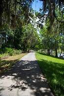 Star Wars Disney Like Resort