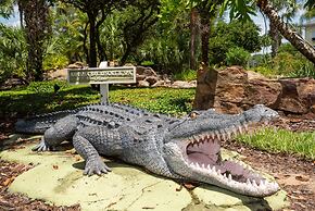 Disney Area Vacation Kissimmee