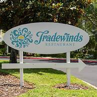 1st Level Pool Beach Disney Area