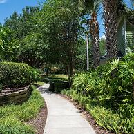1st Level Pool Beach Disney Area