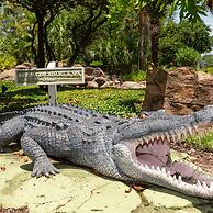 1st Level Pool Beach Disney Area
